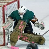 Nic Herrickss billede