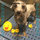 chris_mckenzie29