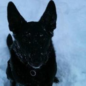 Clara-Leah Gaudet's photo