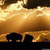 Rosalind Karlin's photo