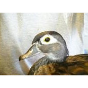 Brian Malaney's photo