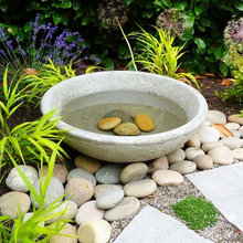 birdbath