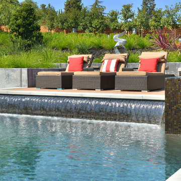 Alamo Hillside Modern Home and Pool