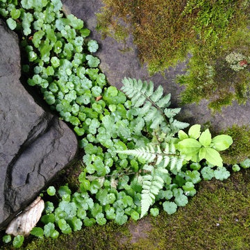 Sustainable Landscape Design