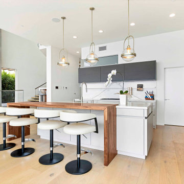 Modern coastal kitchen in Dana Point