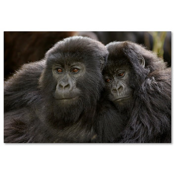 "Two Monkeys" by Robert Harding Picture Library, Canvas Art, 30"x47"