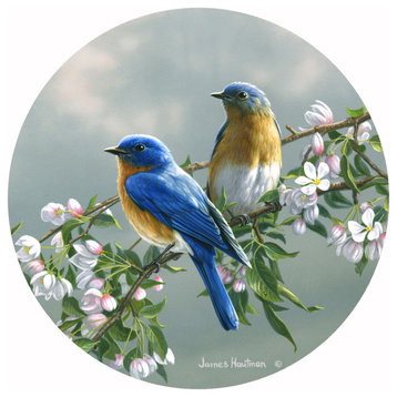 Andreas Spring Blossom Bluebirds
