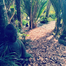 Our Piha Garden