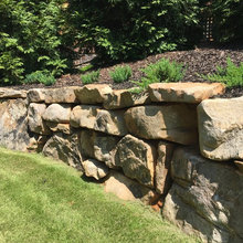 Backyard Landscape