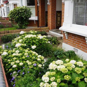 Tiny Front Garden