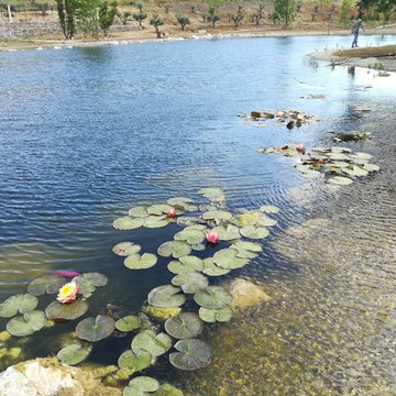 Biolago balneabile Maremma