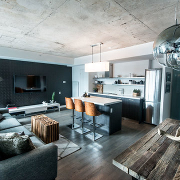 Industrial Condo Loft