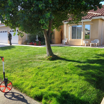 Before Lawn Removal