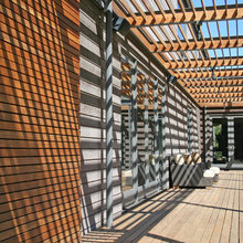 Landscape Ideas