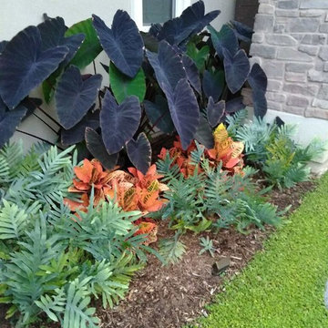 Planting Styles