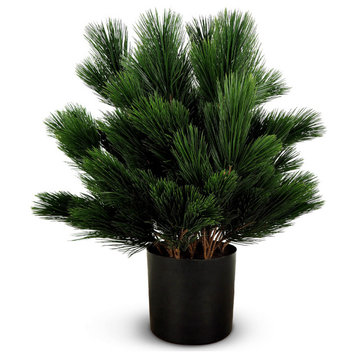 Faux Botanical Pinus in Green 28"H