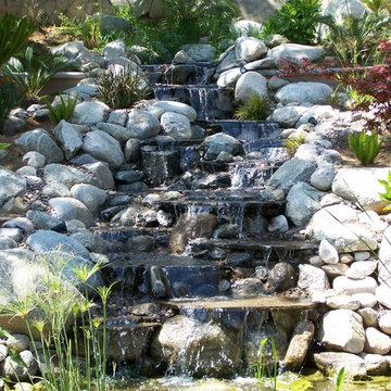 Best of www.socalpondpros.com