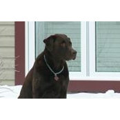 Marise Lapierre's photo