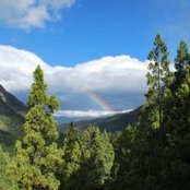 Geraldine Aizenberg's photo