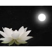 Malia Harrington's photo