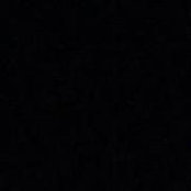 Rami Lakah's photo