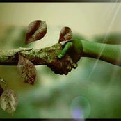 Corinne Westgate Fitzpatrick's photo
