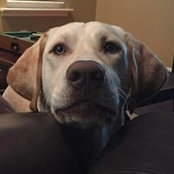 Kristi Cato's photo