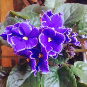 Pam Fairchild's photo