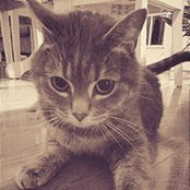 Joni Ritchey's photo