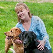 Suzanne Bohman's photo