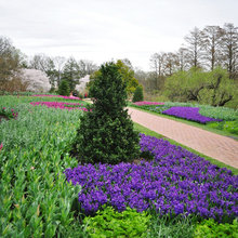 Pool and Garden