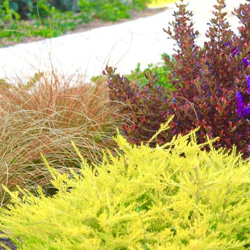 Garden design - Foliages
