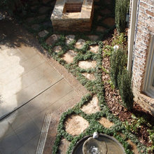 back yard