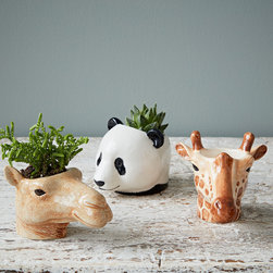 Hand Painted Wild Animal Egg Cups by Quail - Egg Cups