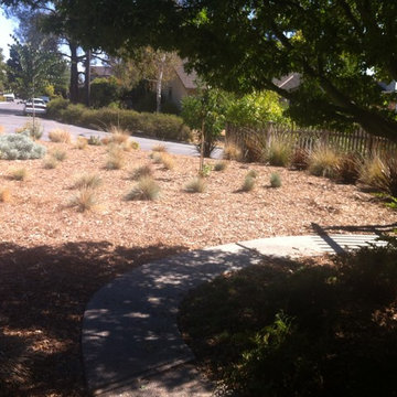 A Vast Lawn Space is Reimagined
