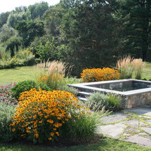 Landscape Ideas