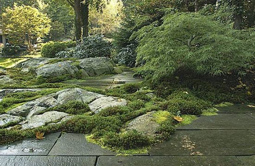 ASIAN GARDEN DESIGN AND LANDSCAPING