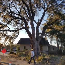 After removing a large dead limb and a huge mass of vines over the building - Outdoor Products