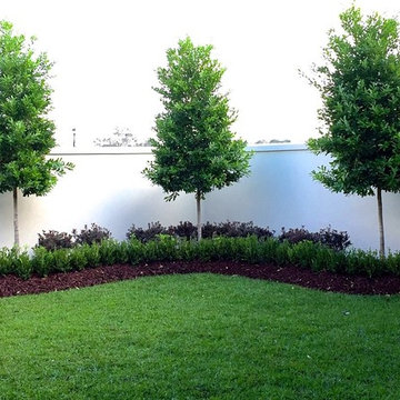 Modern Boxwood Look