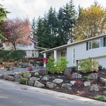 Bellevue Front Yard Makeover