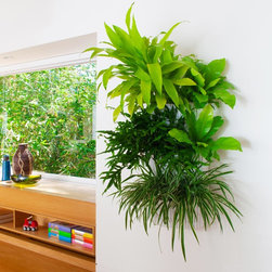 Living Wall - Products