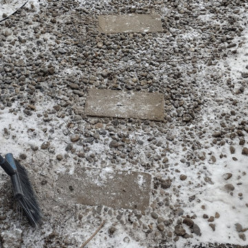 Regina's Dog-Friendly Yard
