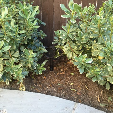 Outdoor Audio with Ambient Sound