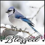 Adrienne Cobert's photo