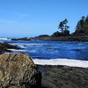 Pat Kobayashi's photo