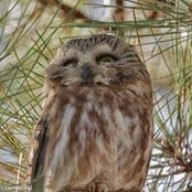 Winnie Chrzanowski's photo
