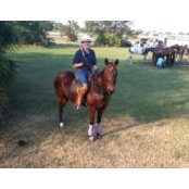 William Custer's photo
