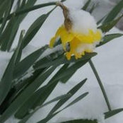 Crystal McRorie's photo