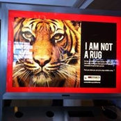 Rhiannon Fleetwood's photo