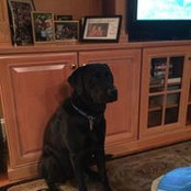Dennis Milam's photo